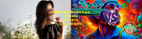 мяу мяу мука Алзамай