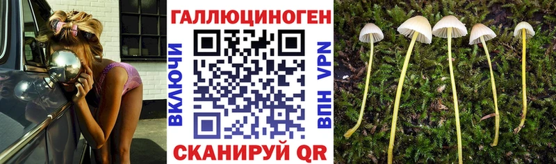 Галлюциногенные грибы прущие грибы  Снежногорск 
