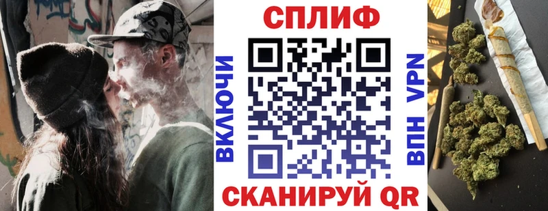 Конопля ГИДРОПОН  купить   сайты даркнета наркотические препараты  Снежногорск 